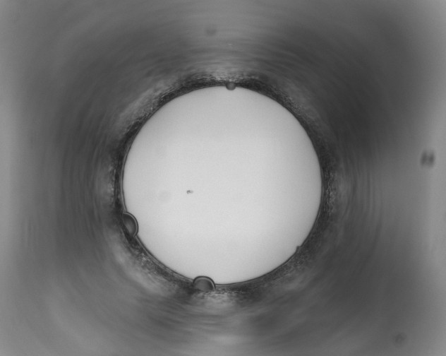 X0000112540639200909141313