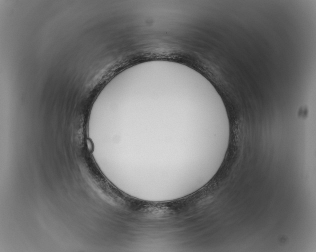X0000112540642200909141313