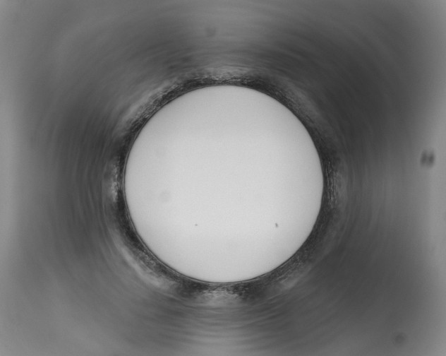 X0000112540644200909141313