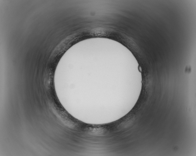 X0000112540645200909141313