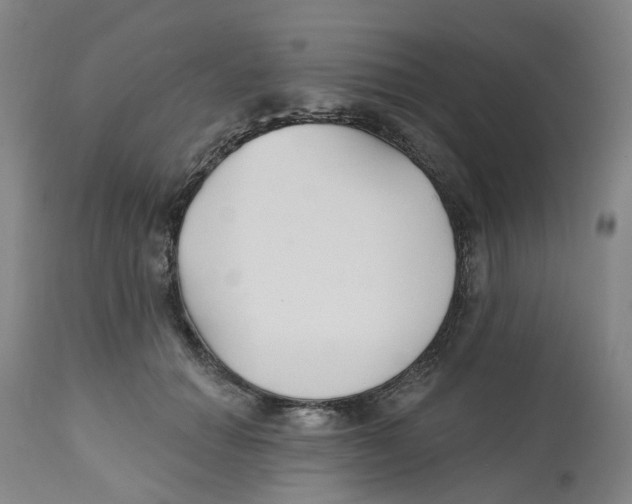 X0000112540654200909141313