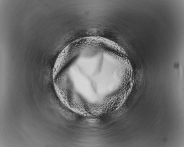 X0000112540659200909141313