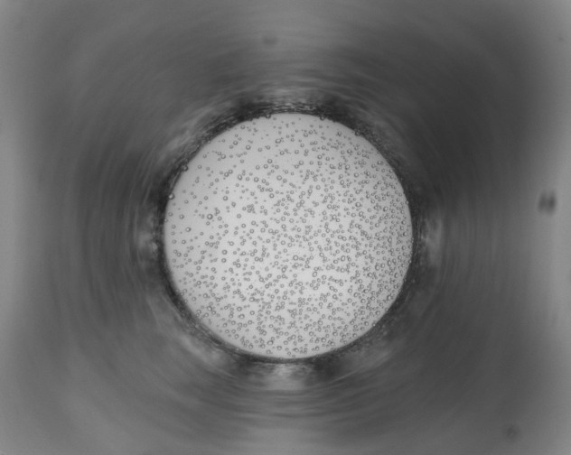 X0000112540663200909141313