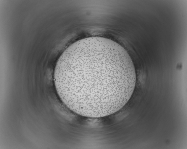 X0000112540667200909141313