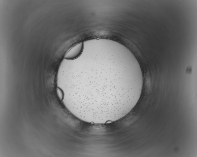 X0000112540668200909141313