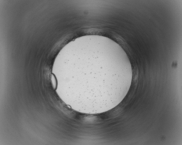 X0000112540669200909141313