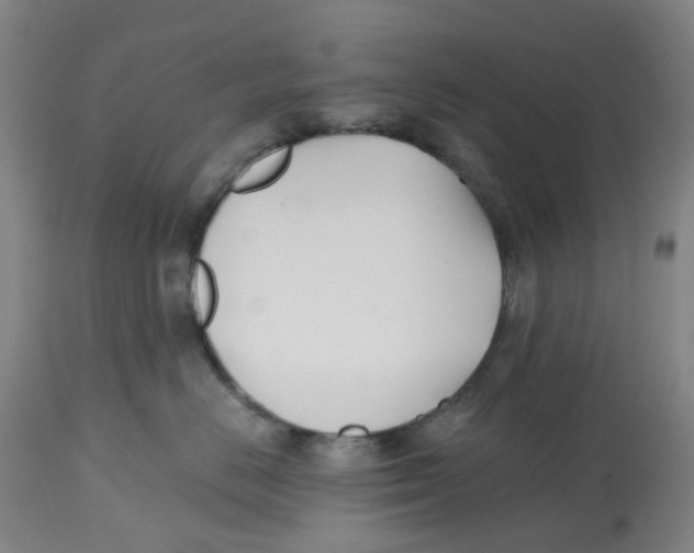 X0000112540670200909141313