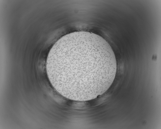 X0000112540671200909141313