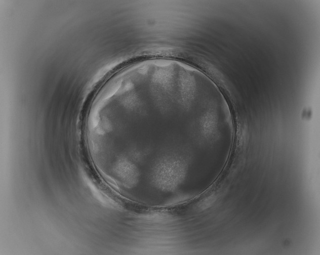 X0000112540674200909141312