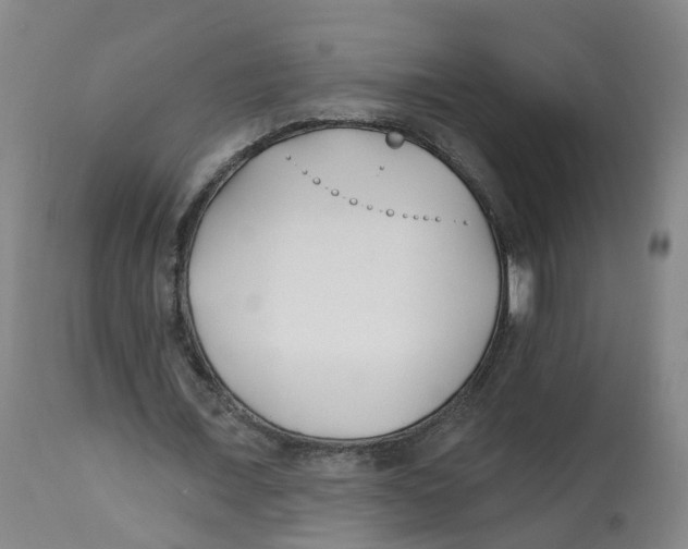 X0000112540675200909141312
