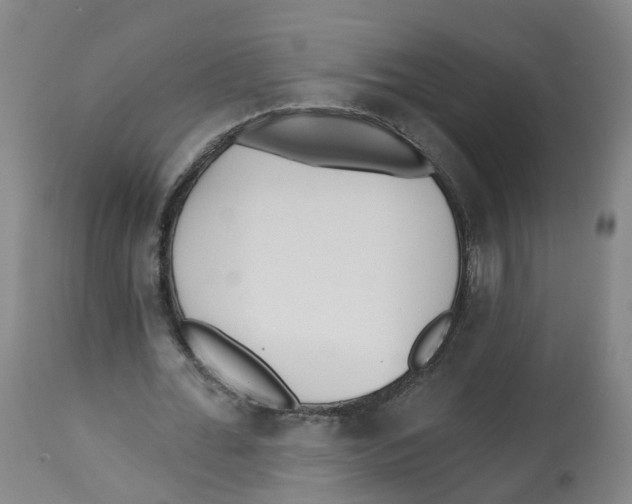X0000112540676200909141312