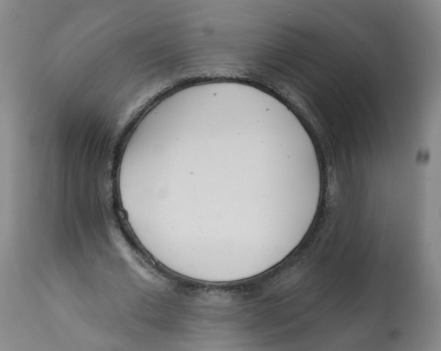 X0000112540677200909141312