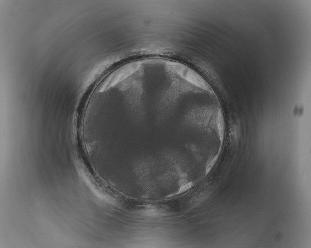 X0000112540678200909141312