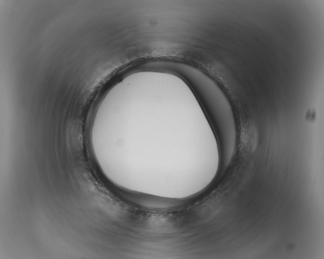 X0000112540684200909141312