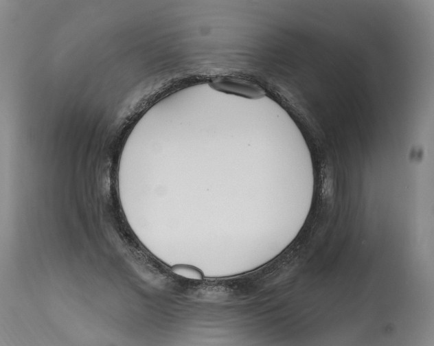 X0000112540685200909141312