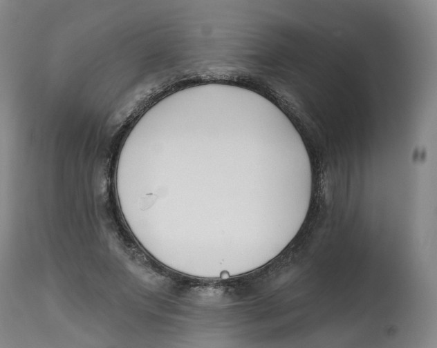 X0000112540687200909141312