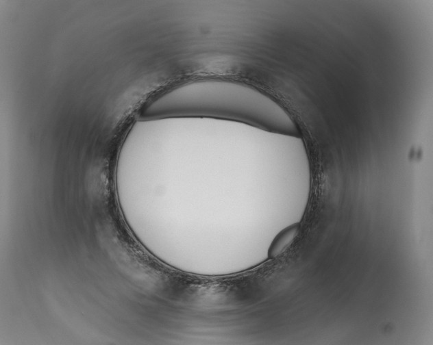 X0000112540688200909141312