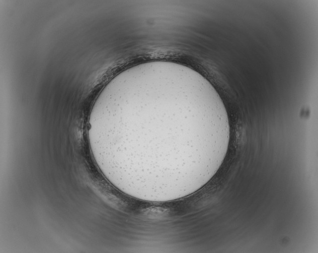 X0000112540691200909141312