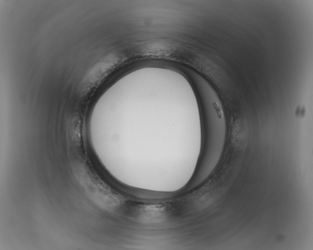 X0000112540692200909141312