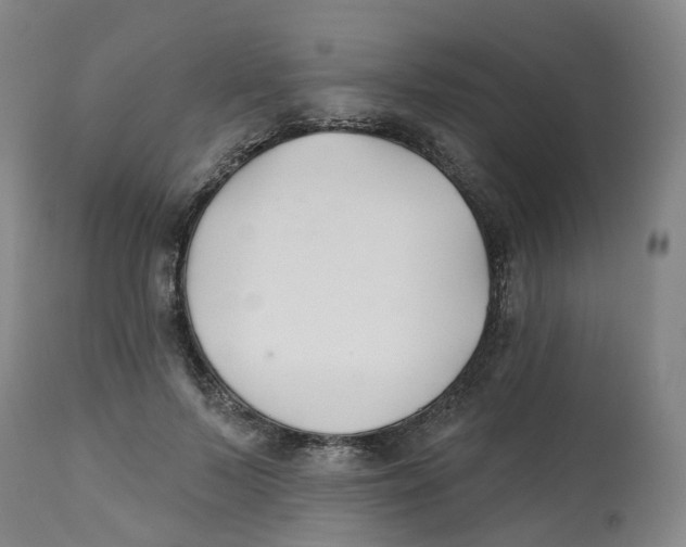 X0000112540695200909141312
