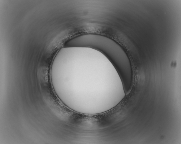 X0000112540696200909141312