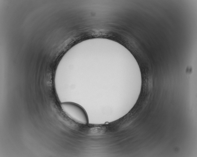 X0000112540700200909141312