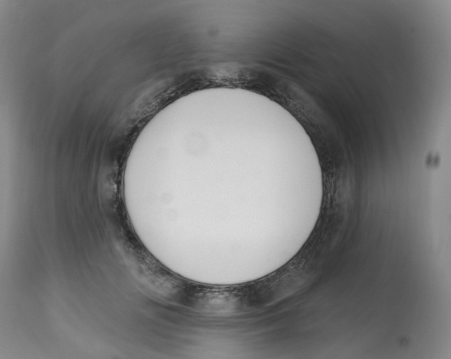 X0000112540702200909141312