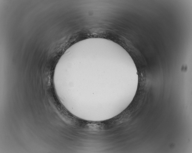 X0000112540703200909141312
