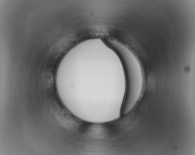 X0000112540704200909141312