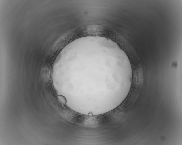 X0000112540705200909141312