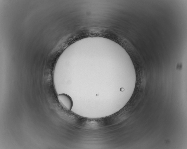 X0000112540706200909141312