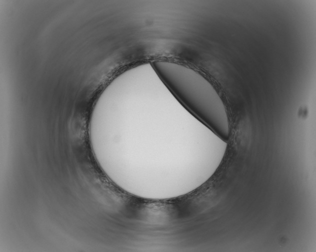X0000112540708200909141312