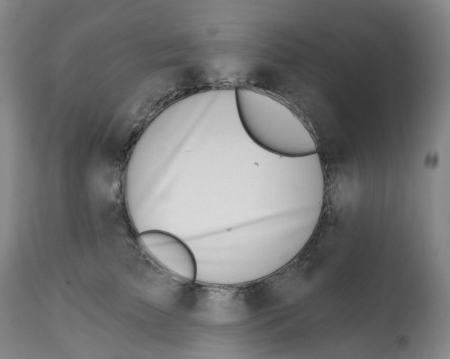 X0000112540709200909141312