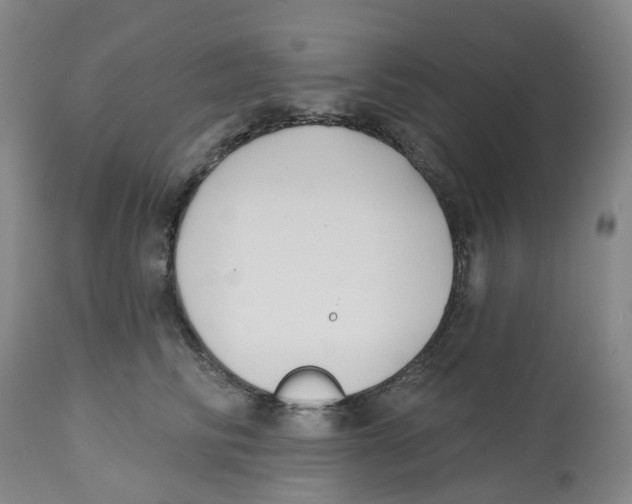 X0000112540710200909141312