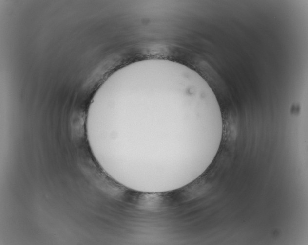 X0000112540717200909141312