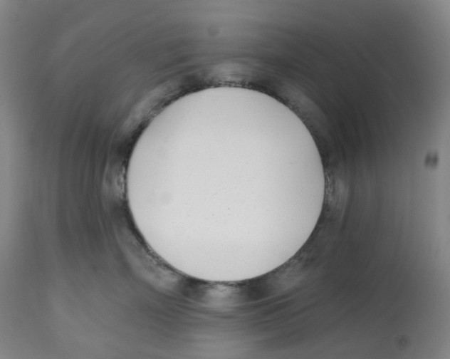 X0000112540718200909141312