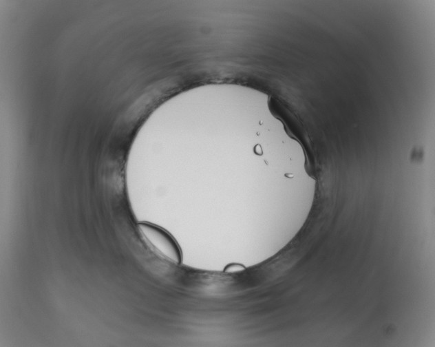 X0000112540719200909141312