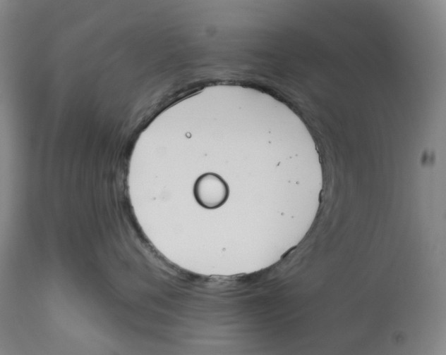 X0000112540720200909141312
