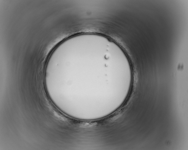 X0000112540721200909141311