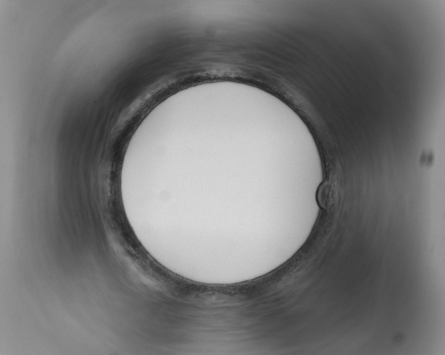 X0000112540722200909141311