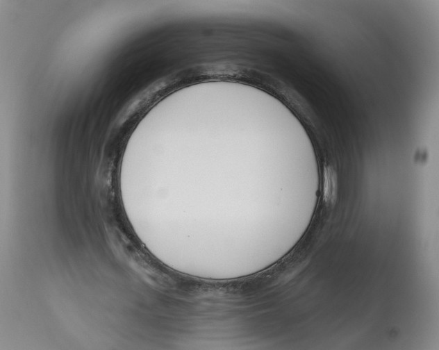 X0000112540723200909141311