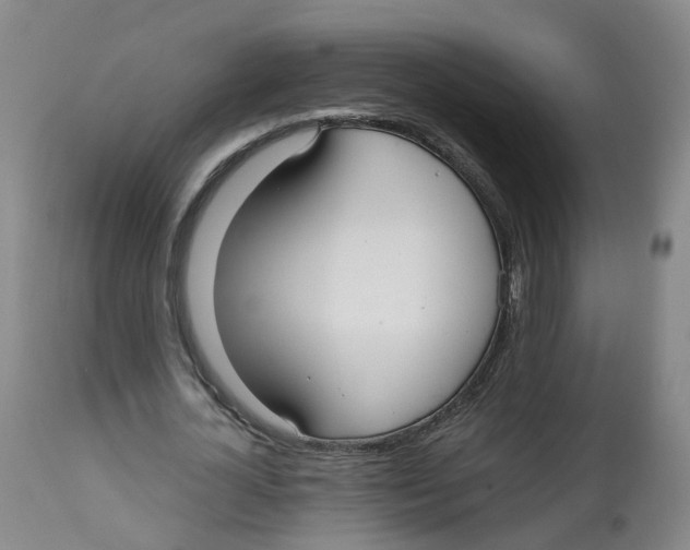 X0000112540724200909141311