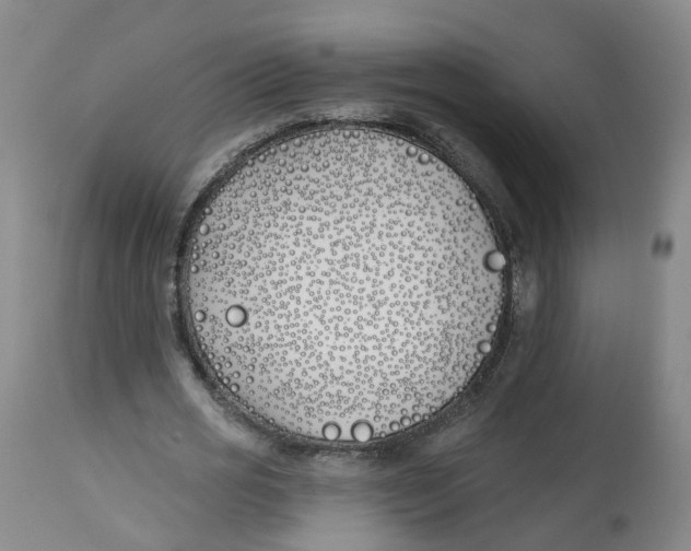 X0000112540725200909141311