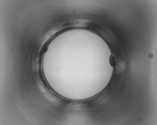 X0000112540726200909141311
