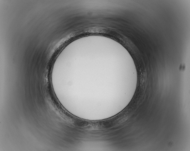 X0000112540727200909141311