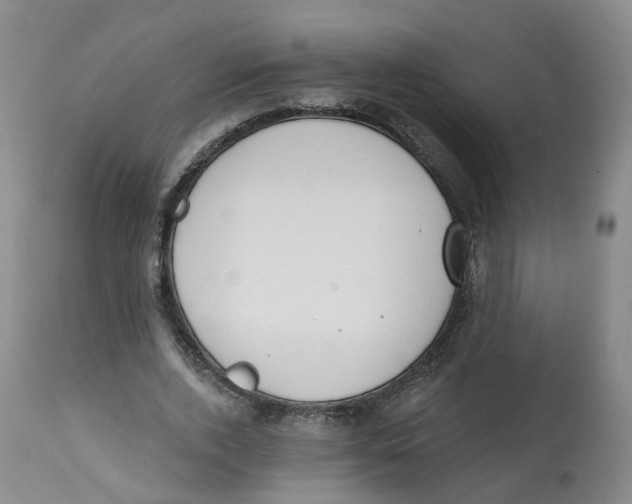 X0000112540728200909141311