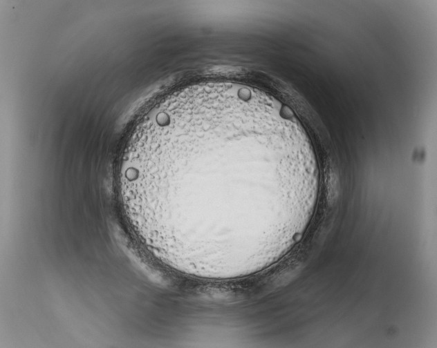 X0000112540729200909141311
