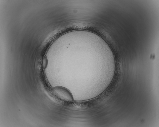 X0000112540736200909141311