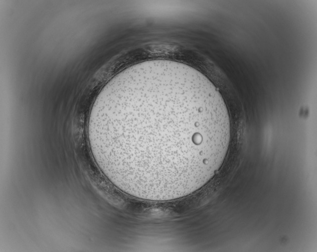 X0000112540737200909141311