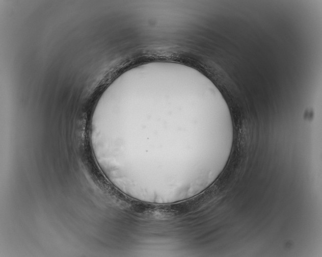 X0000112540739200909141311